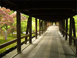 P1020275.jpg