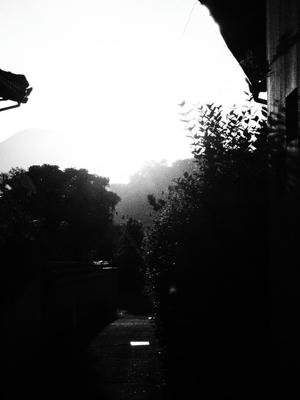 P9010493.JPG
