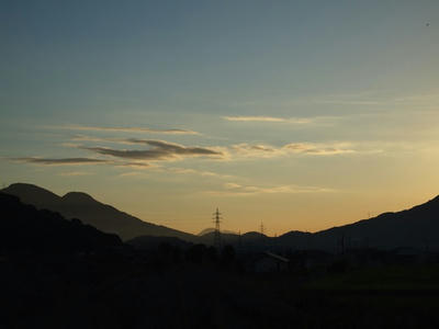 P9010482.JPG