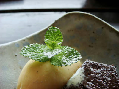 DSC02584.jpg