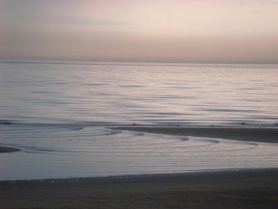 DSC03505.JPG