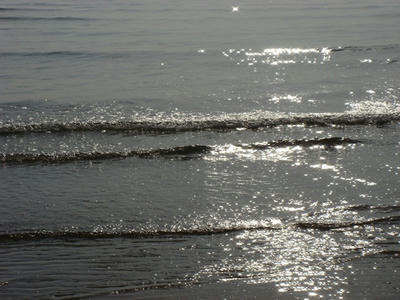 DSC04065.JPG