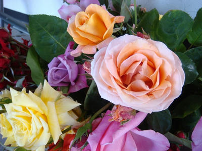 DSC04108.JPG