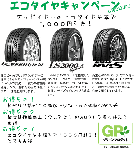 eco_cam03-11.gif