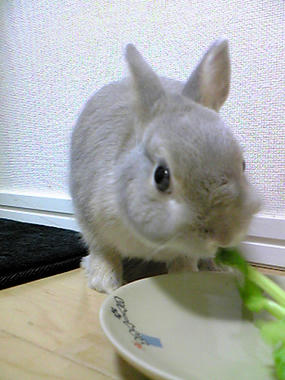 Image048.jpg