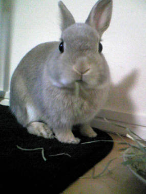 Image066~00~00~00.jpg