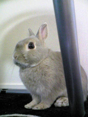 Image055~00.jpg