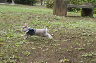 DSC01826.jpg