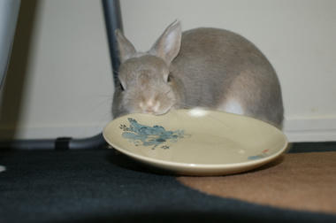 DSC02216.jpg