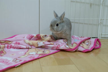 DSC02892.jpg