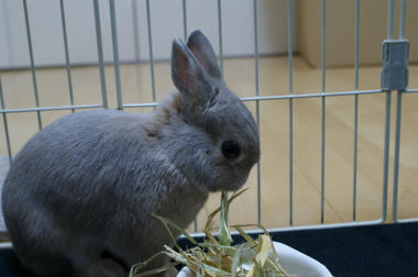 DSC03077.jpg