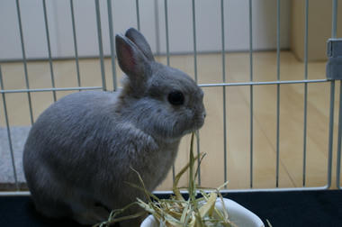 DSC03078.jpg