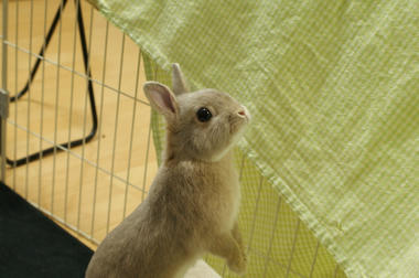 DSC03548.jpg
