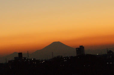 DSC03733.jpg