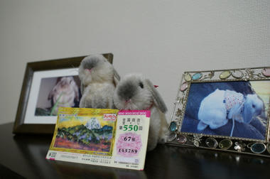DSC04622.jpg
