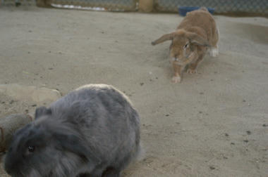 DSC04747.jpg