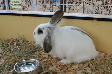DSC04872.jpg