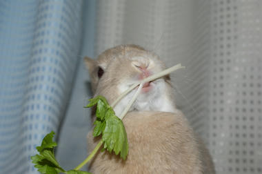 DSC04974.jpg