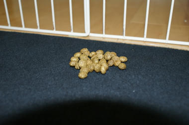 DSC05217.jpg
