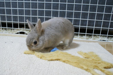DSC05271.jpg