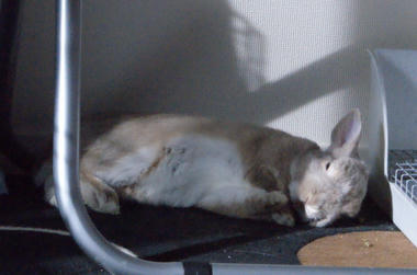DSC05554.jpg