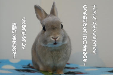 DSC05729.jpg