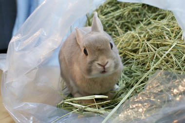 DSC05965.jpg