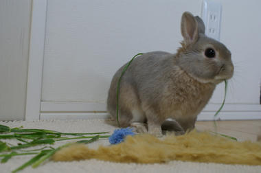 DSC06536.jpg