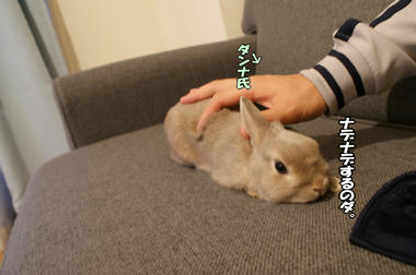 DSC06758.jpg