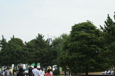 DSC07793.jpg