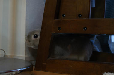 DSC08454.jpg