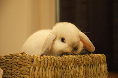 DSC09452.jpg