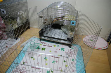 DSC00303.jpg