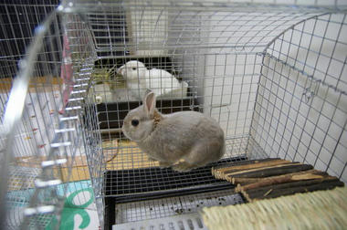 DSC00304.jpg