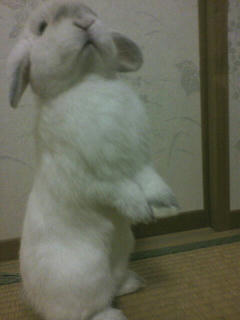 2010081117590002.jpg
