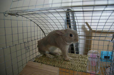 DSC00509.jpg