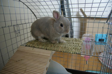 DSC00510.jpg