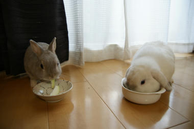 DSC00608.jpg