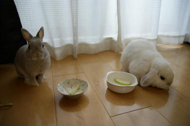 DSC00613.jpg