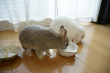 DSC00621.jpg