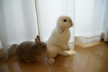 DSC00635.jpg