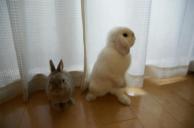 DSC00636.jpg