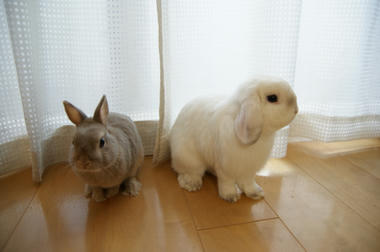 DSC00638.jpg