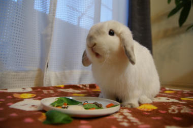 DSC00791.jpg