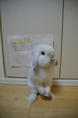 DSC00853.jpg