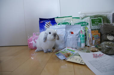 DSC01251.jpg