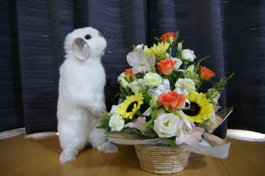 DSC01313.jpg