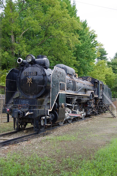 彷鉄 昭和公園 D51 451