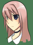 junk2007069ver0.jpg