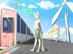 20110201-3.jpg